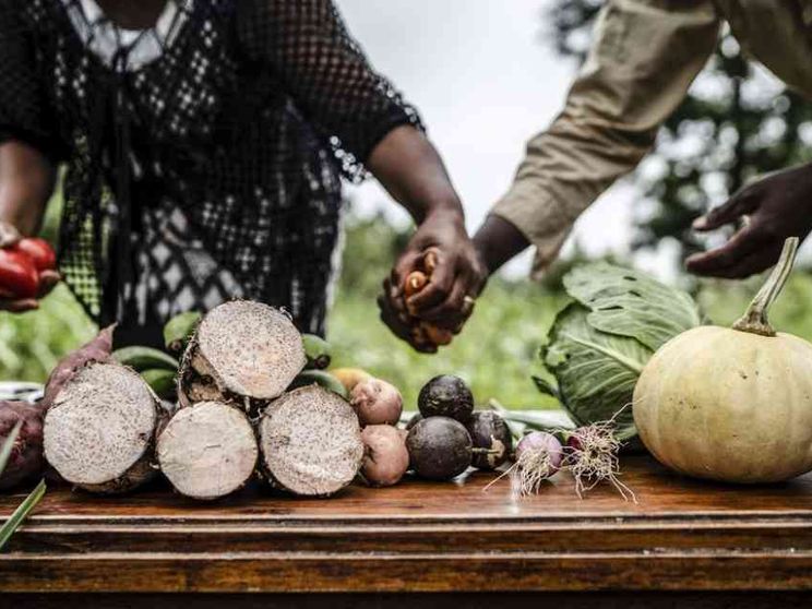I "senza cibo" sono 50 milioni in più nel 2021