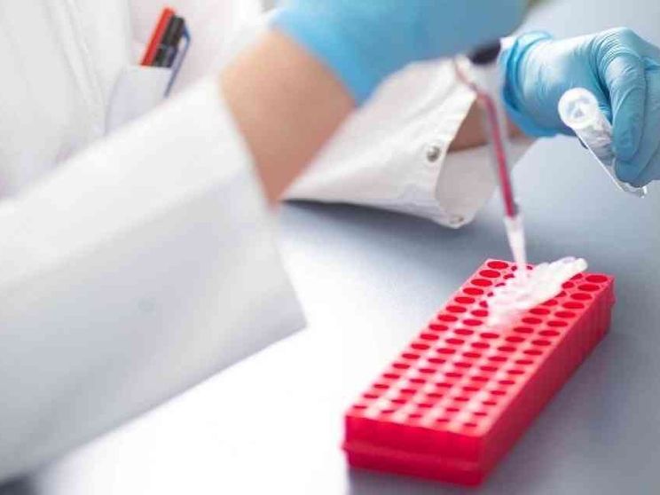 Mattarella: la ricerca contro il cancro, responsabilità di tutti