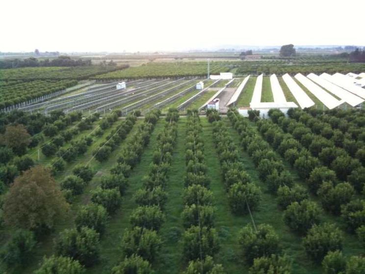 La semina (e le incognite) del fotovoltaico nei campi italiani
