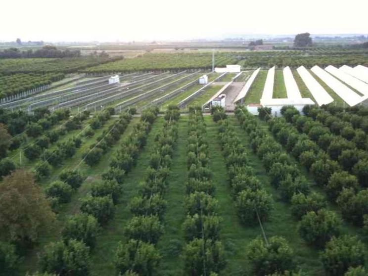 La semina (e le incognite) del fotovoltaico nei campi italiani