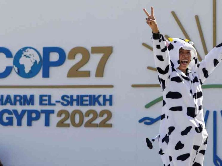 Al via il vertice Cop27 sul cambiamento climatico: cosa c'è da sapere