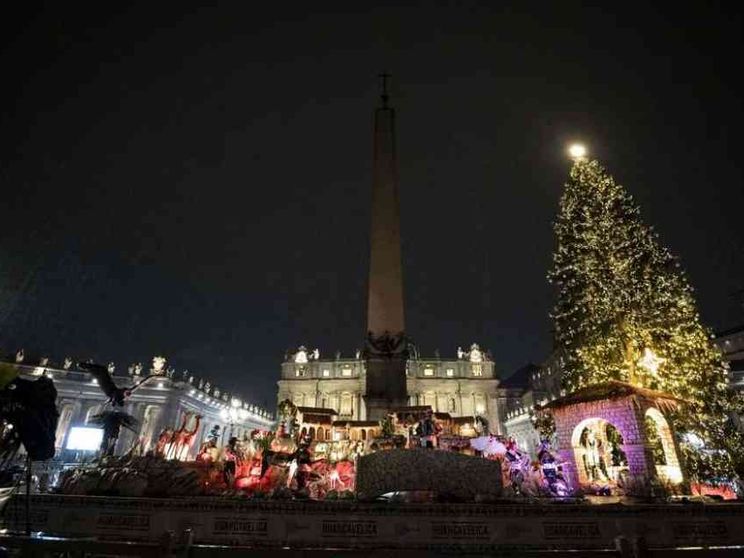 Verrà da un vivaio non da un bosco naturale l'albero di Natale in Vaticano