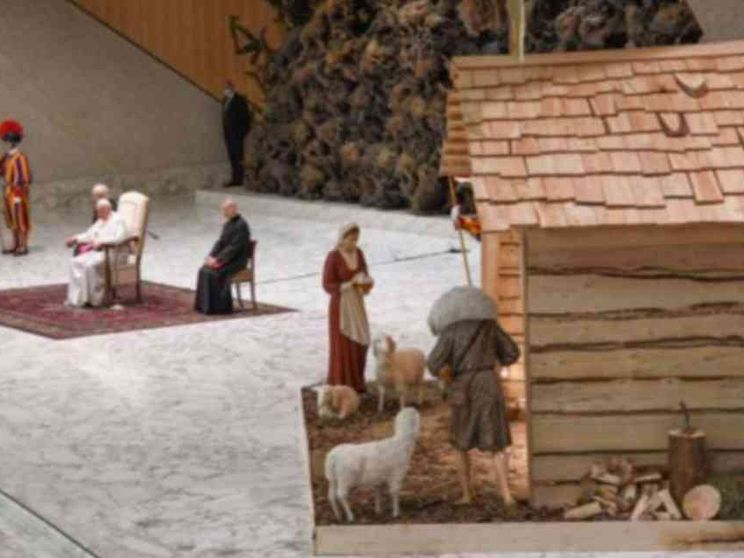 Viene dalla Carnia il presepe di piazza San Pietro