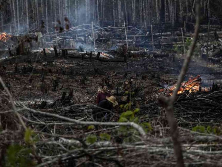 Un terzo della terra trasformato in riserva. Ma l'idea divide il mondo