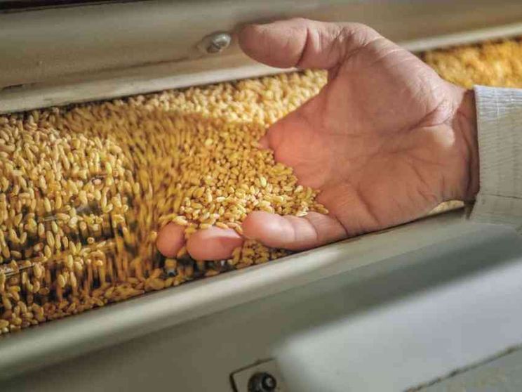 La Molisana ha la ricetta per fare bene al territorio