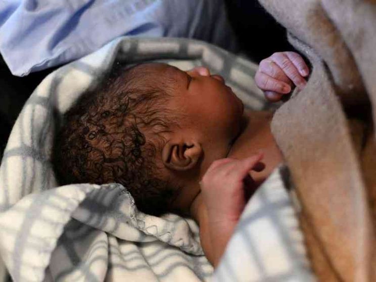 Milano. Progetto Gemma cerca casa. Per dare più spazio alla vita