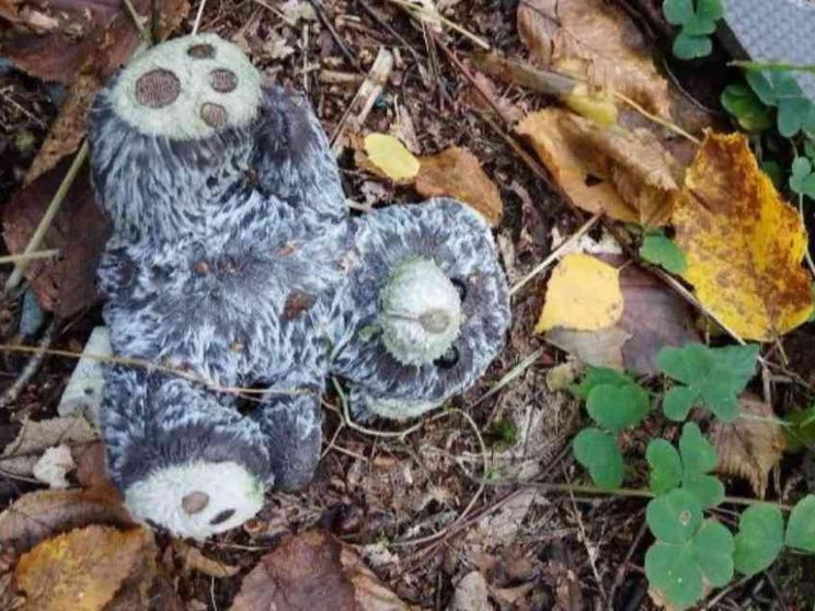 I profughi non sono tutti uguali. Ecco quelli che l'Europa rifiuta