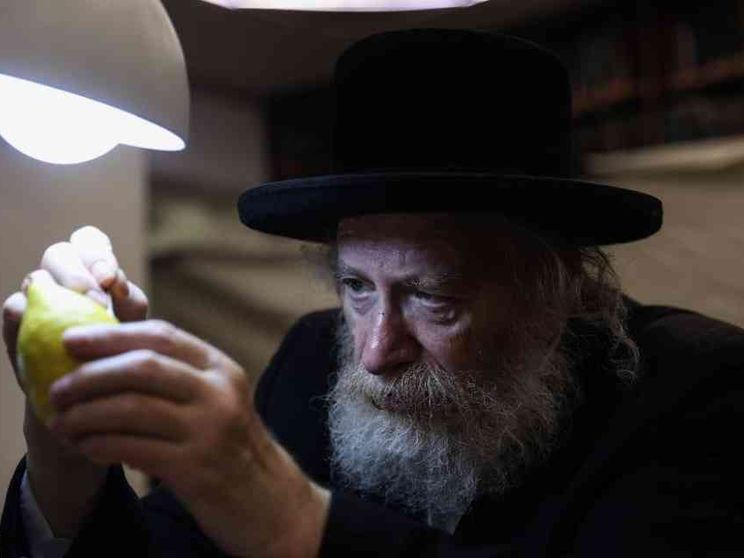 Nelle capanne di Sukkot la bellezza abita la precarietà