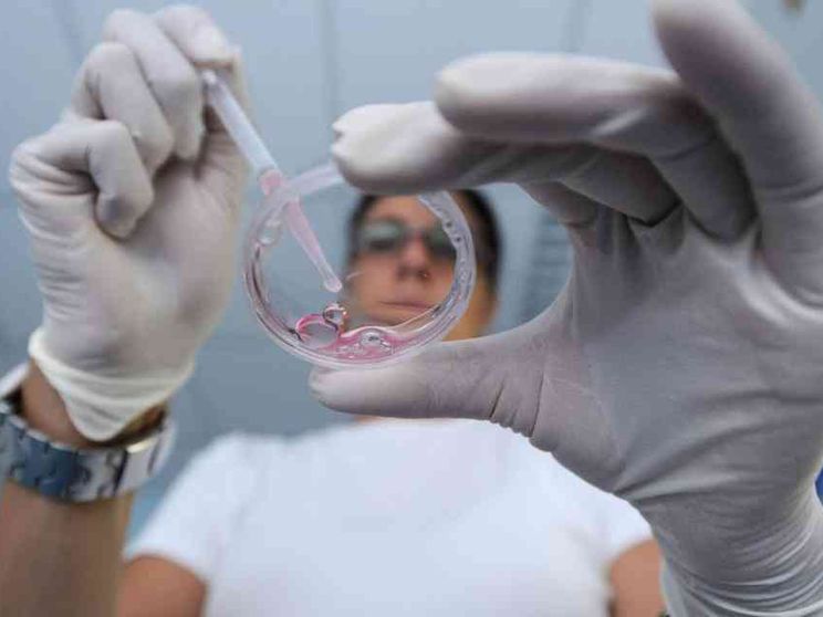 La guerra riempie le banche del seme: congelata la generazione post-conflitto