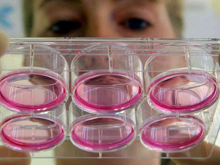 Vita, povertà e mercato dei farmaci: tre sfide per il Comitato di bioetica