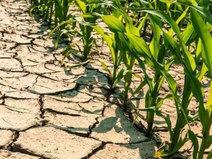 Perché anche se sta piovendo la siccità è un grosso problema