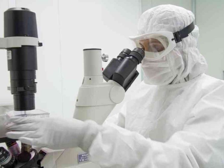 Leucemia, nuove speranze da una terapia italiana