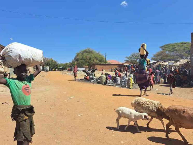 Don Vittorione, eredità d'amore