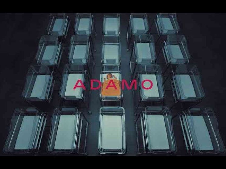 Costi troppo alti, niente bambini. Roccella: mobilitazione di tutti / VIDEO