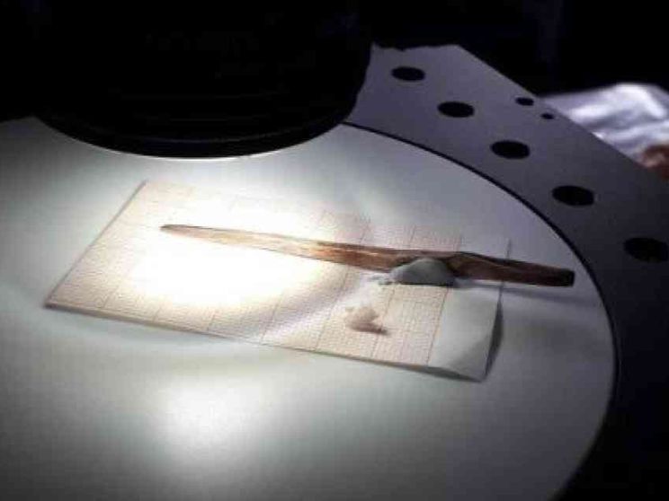 A spasso con Ötzi il tatuato: un'indagine sulla preistoria