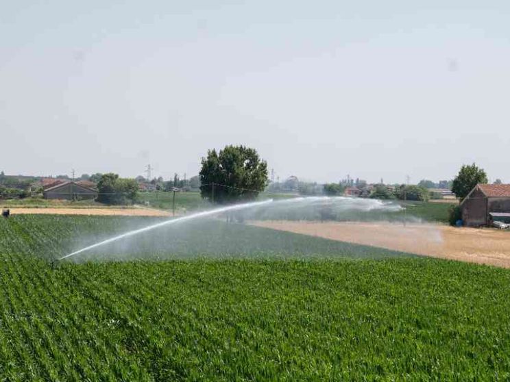 Acqua in gocce, sensori e satelliti: così la siccità cambia l'agricoltura