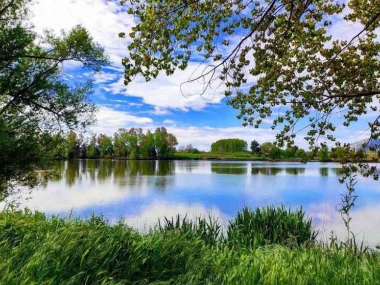 Pace e ambiente, riformare l'Onu per tutelare i beni comuni globali