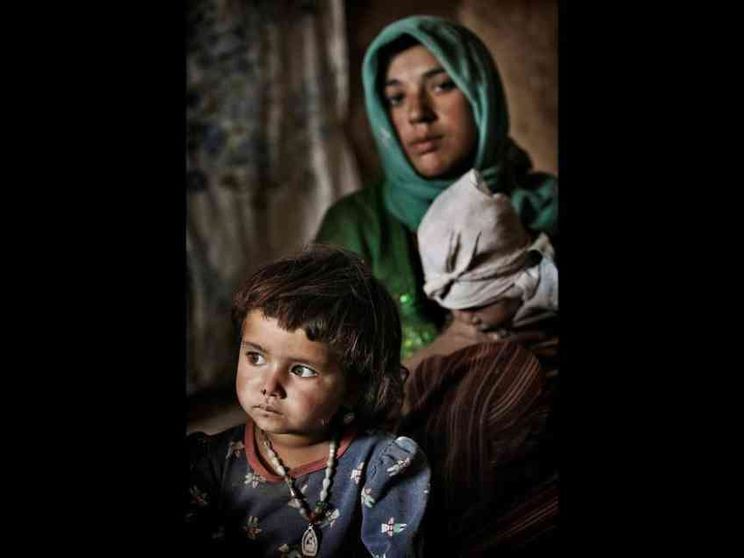 Piccola Kobra che guardi "fuori": ancora non sai...