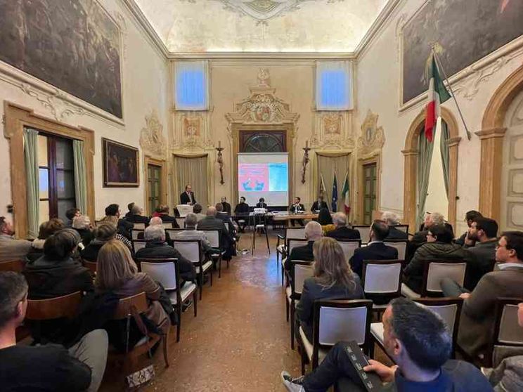 Imprese familiari e modelli organizzativi