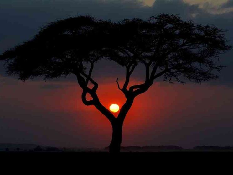 Addio a Franco Rosso: con lui gli italiani scoprirono il turismo in Africa