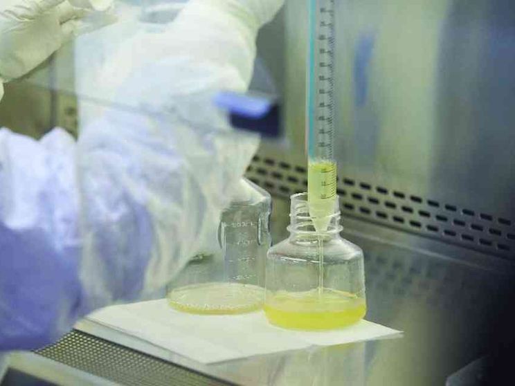 Rischio incesto, dopo 550 figli denunciato "donatore" seriale