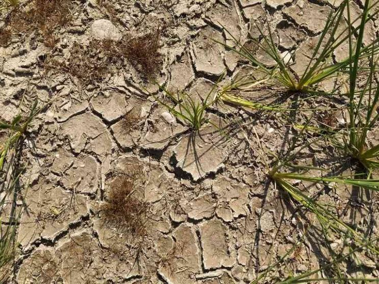 I contadini in rivolta Guerra dell'acqua in Pianura Padana