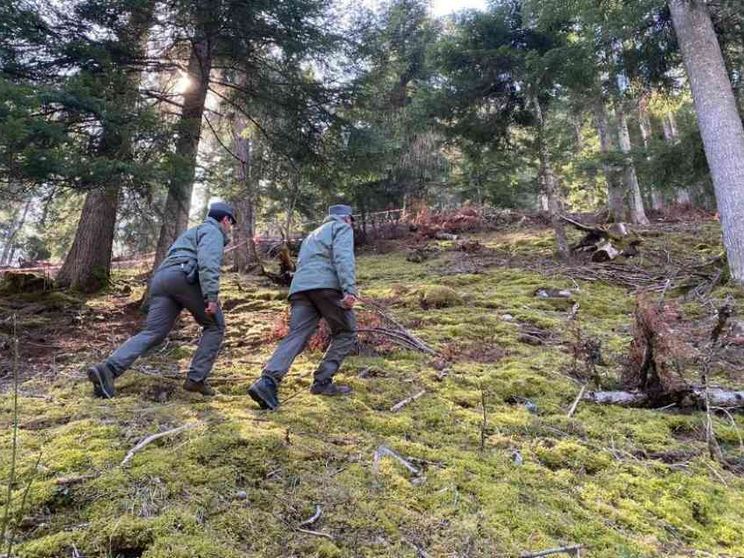 Andrea Papi, il runner trovato morto nel bosco. «Forse ucciso da un orso»