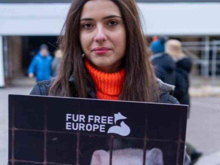 C’è moda e moda: quell’impatto letale su ambiente e animali