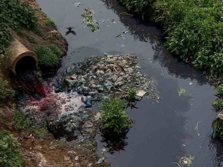 Il Papa: occorrono politiche lungimiranti di ecologia integrale