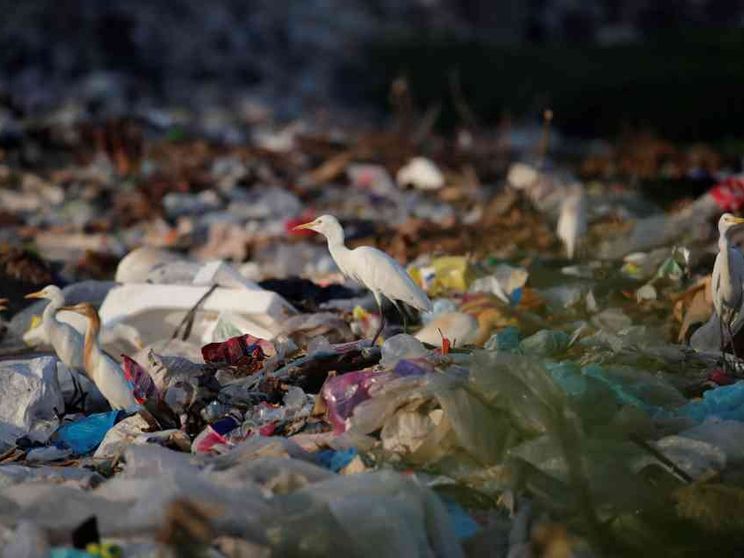 Giornata mondiale della Terra: domani iniziative in tutto il mondo