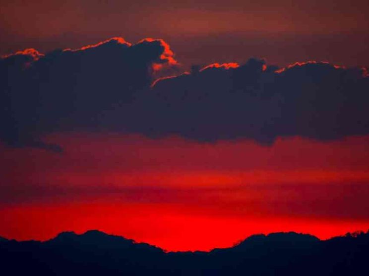 Il Papa: la cura della Terra è un obbligo morale per tutti