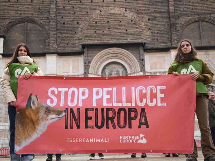 Moda etica e formazione: «Così insegniamo a non indossare le mucche»