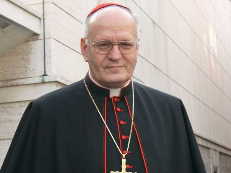Il cardinale Erdö: un segno di vicinanza