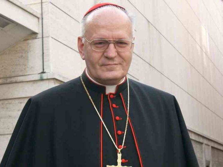 Il cardinale Erdö: un segno di vicinanza