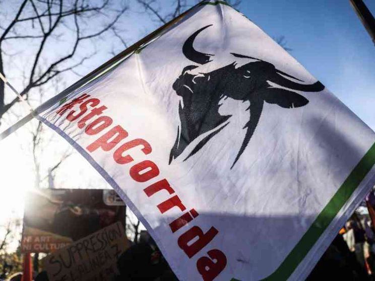 La Spagna vieta le corride dei toreri-nani