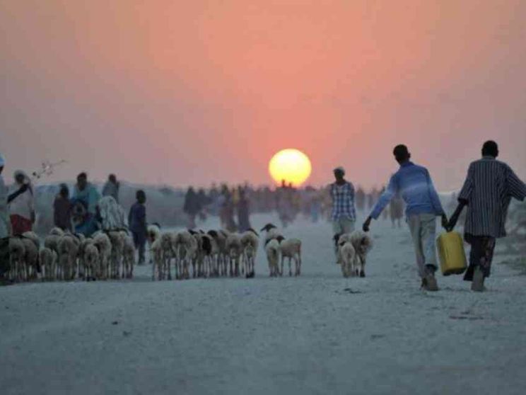 Profughi, l'Onu: «Il clima malato è ormai un'emergenza umanitaria»