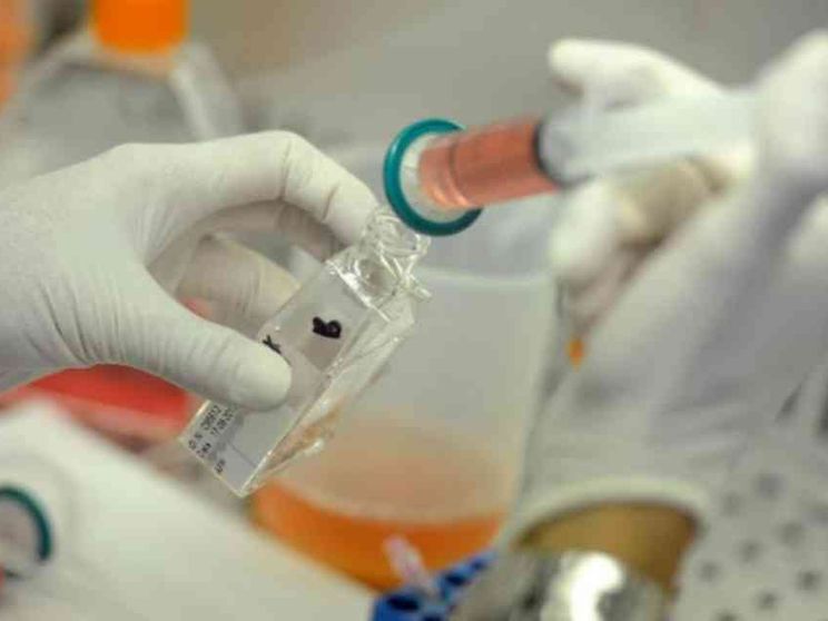 Spagna, il«supermarket» degli ovociti in Europa