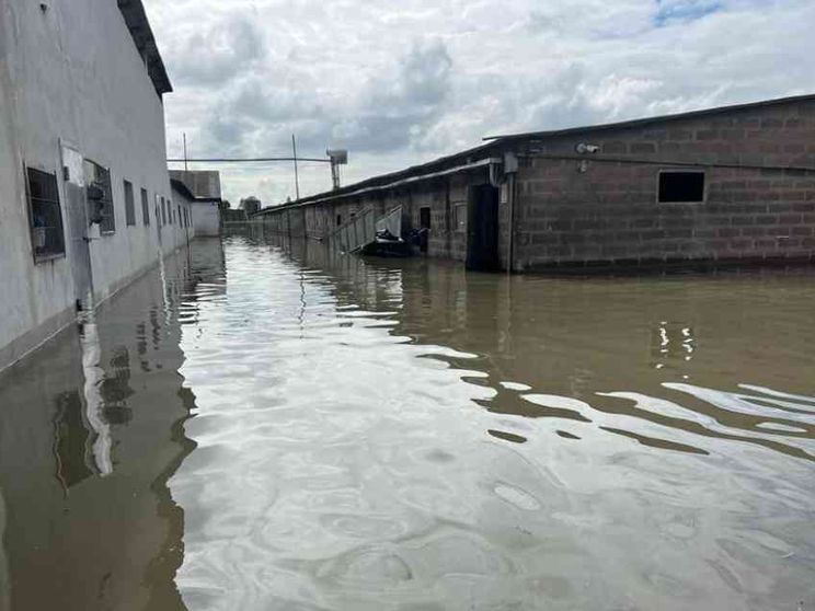 Per la ricostruzione niente fondi del Pnrr. A rischio 50mila posti