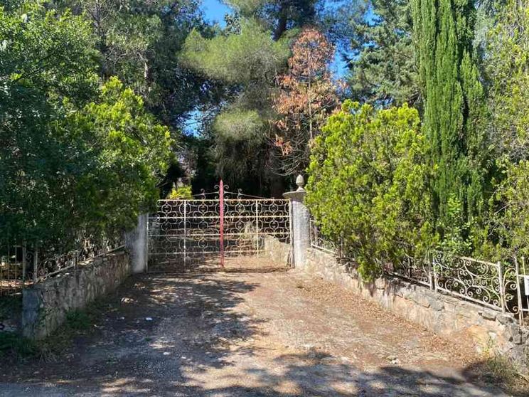 Padre investe la figlia di 54 anni e la uccide: fermato per omicidio