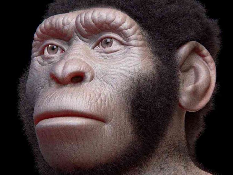 Nelle grotte della Stella nascente i primi “disegni” dell’umanità?