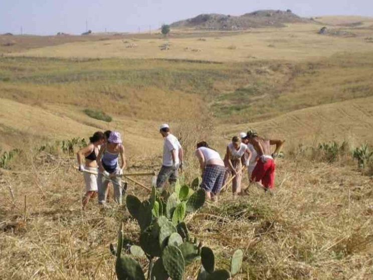 La Cei: in campo agricolo lo stile cooperativo è via di sviluppo
