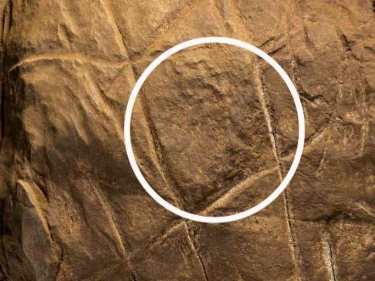 I segni di Naledi, domande dell'uomo