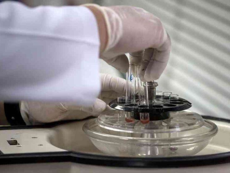 Creato in laboratorio uno pseudo-embrione umano sintetico, un salto nel vuoto?