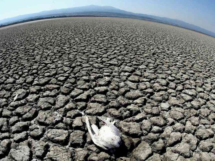 La desertificazione «globale» minaccia 168 Paesi