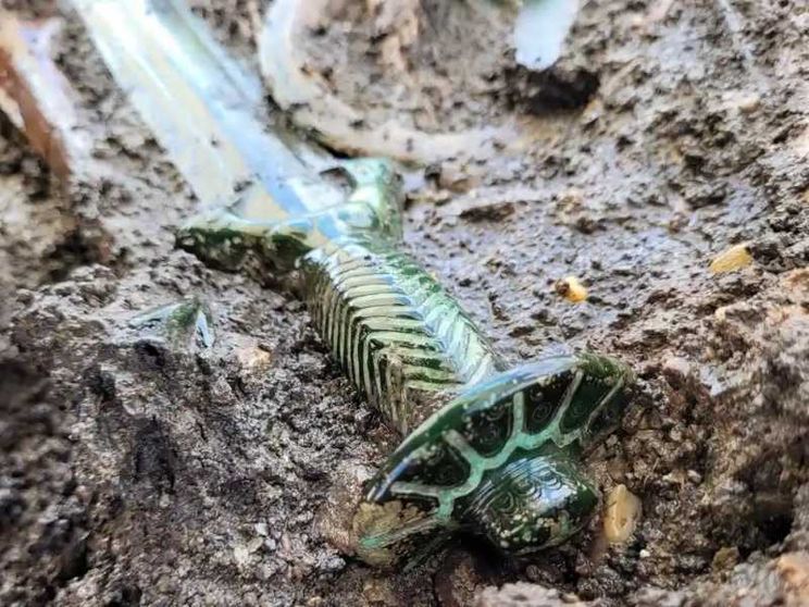 Una spada di bronzo di 3mila anni fa riemerge intatta: «Brilla ancora»