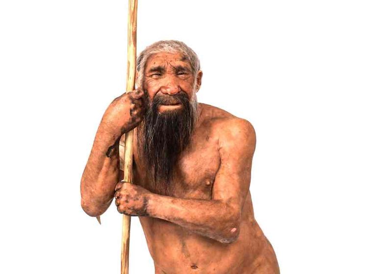 Neanderthal, trovati in Francia i "disegni" più antichi