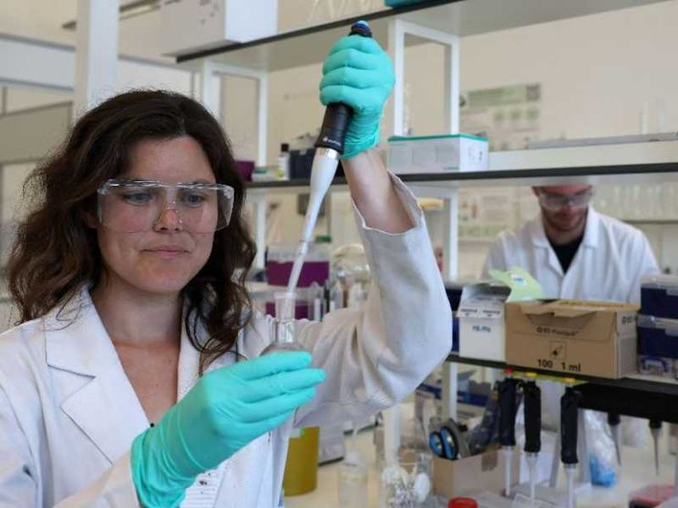 «Embrioni sintetici», un salto nel vuoto