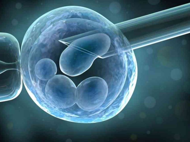 Tra provette e algoritmi, cos'è oggi l'«umano»?