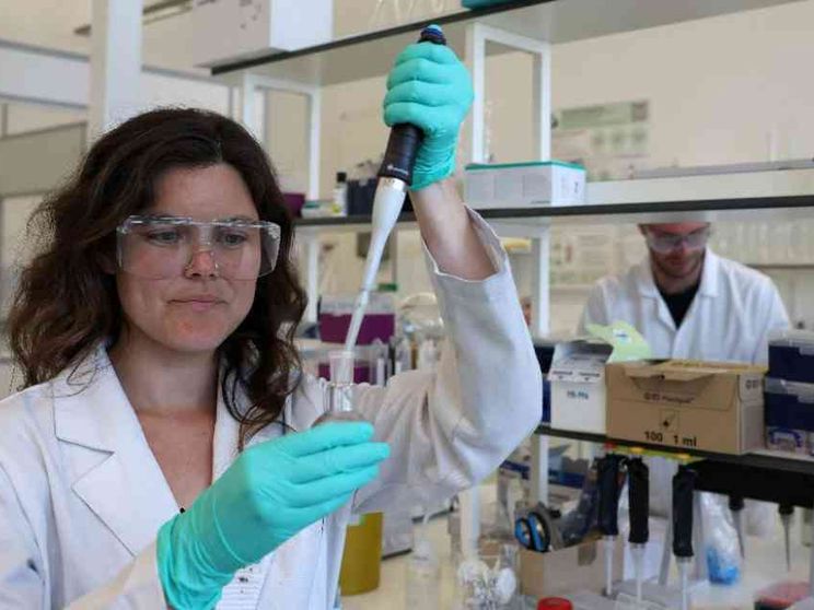 «Embrioni sintetici», un salto nel vuoto