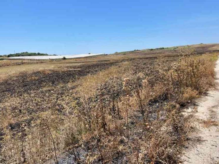 Coop "Livatino" di nuovo nel mirino: incendiati 30 ettari coltivati a grano